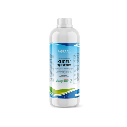Kugel Equisetum®